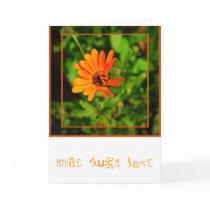 Orange Daisy-CARD