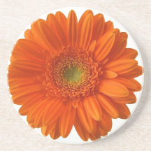 Orange Daisy Coaster