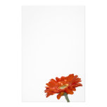 Orange Daisy Gerbera Flower Customised Stationery