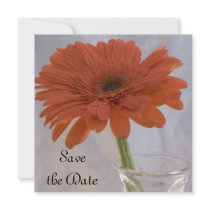 Orange Daisy Save the Date Announcement