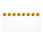 Orange Daisy With Yellow Mums Photo Card Template