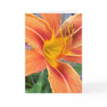 Orange Daylily Greeting Card