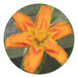 Orange Double Day Lily stickers