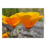 Orange Elegance Cards