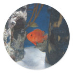 Orange Fishy stickers