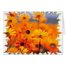 Orange Floral Card