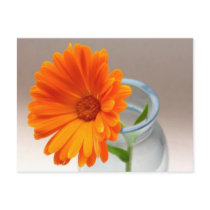 Orange Floral
