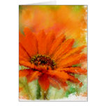 Orange Flower-2 cards