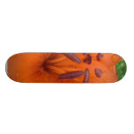 Orange Flower Close Up Skateboard