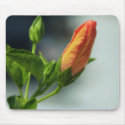 Orange Flower Mousepad