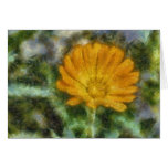 Orange flower painting cards