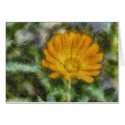 Orange flower painting cards