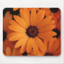 Orange Flowers Mouse Mat