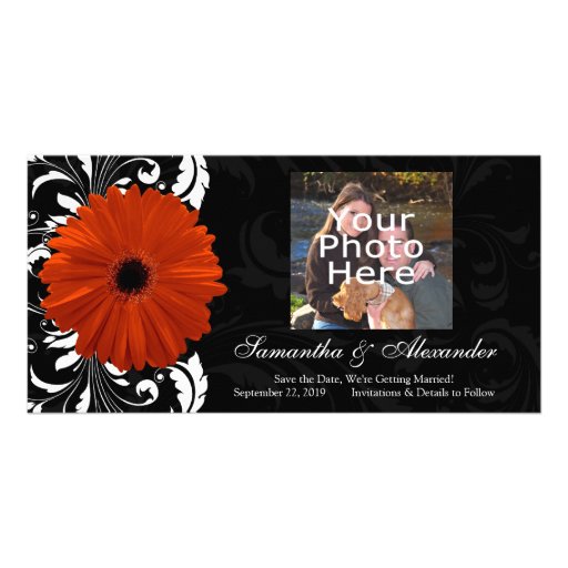 Orange Gerbera Daisy with Black and White Scroll Custom Photo Card