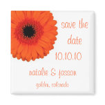 Orange Gerbera  Save the Date magnets