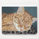 Orange Ginger Tabby Sleeping Cat Painting Art mousepads