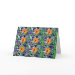 Orange Hawkweed 1 Greeting Card