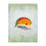 Orange Hedgehog Postcard