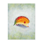 Orange Hedgehog Postcard