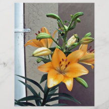 Orange Iris Flower Personalized Flyer