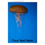 Orange Jellyfish Cards