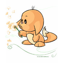 Orange Kacheek wishing on a dandelion t-shirts