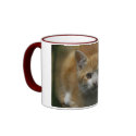 Orange Kitten Mug
