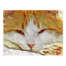 Orange Kitty Cat Postcard