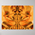 Orange Krush posters