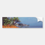 Orange Lake Geneva, Montreux, Switzerland flowers Bumper Sticker