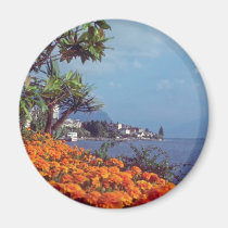 Orange Lake Geneva, Montreux, Switzerland flowers magnets