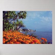 Orange Lake Geneva, Montreux, Switzerland flowers Poster