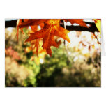 orange leaf greeting card