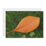 Orange Leaf Invitation