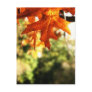 orange leaf postcards