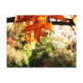 orange leaf postcard