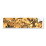 orange leaves bumper sticker