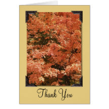 Orange Leaves Thank You Note Greeting Cards