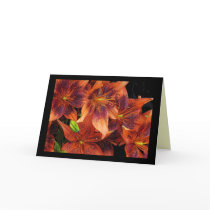 Orange Lilies Birthday