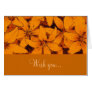 Orange Lilies Card
