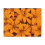 Orange Lilies Postcard