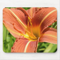 Orange Lily Mouse Pads