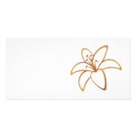 Orange Lily photo cards