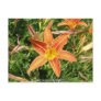 Orange lily post cards