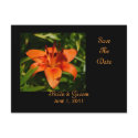Orange Lily Save The Date Postcard