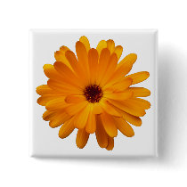 Orange Marigold Buttons