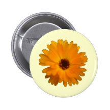 Orange Marigold Button