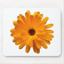 Orange Marigold Mouse Pads