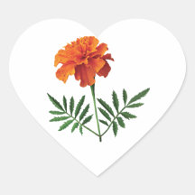 Orange Marigold Sticker