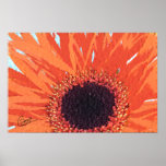 Orange Mum Posters
